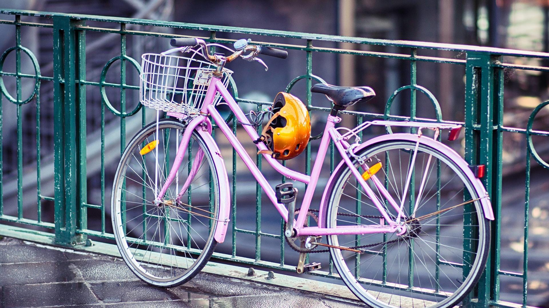 Un été de découvertes à vélo à Paris