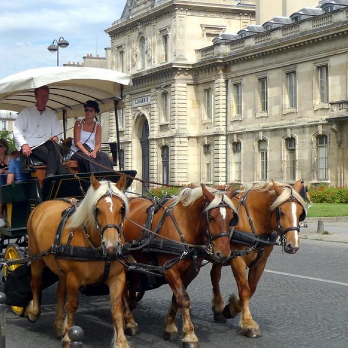 Paris by horse-drawn carriage; take a timeless ride